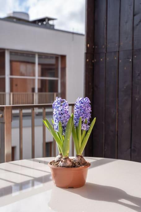 New Loft With Rooftop Terrace In The Old Town ריגה מראה חיצוני תמונה